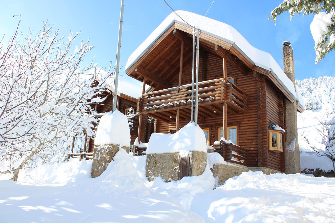 Paradise Chalet Ано-Трикала Экстерьер фото
