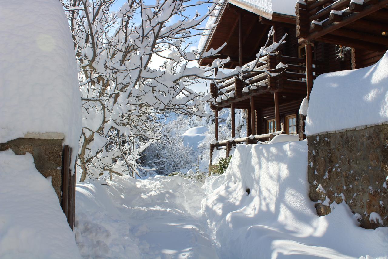 Paradise Chalet Ано-Трикала Экстерьер фото